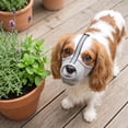 thumbnail image 5 of Muzzle for Large Sized Dog, Air Mesh Breathable with Reflective Strips _ Gray _ S, 5 of 6