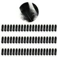 thumbnail image 2 of lanema 100Pcs Natural Craft Black For Art Craft Wedding Decoration, 2 of 21
