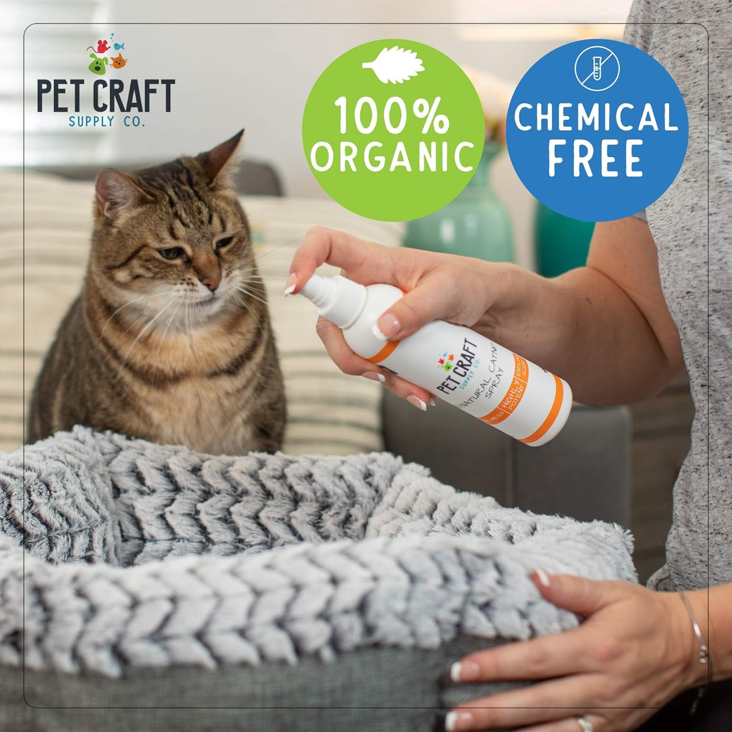 Pet Craft Supply Premium Maximum Potent All Natural Catnip for Cats, USA Grown & Harvested, 8 oz Value Spray Bottle