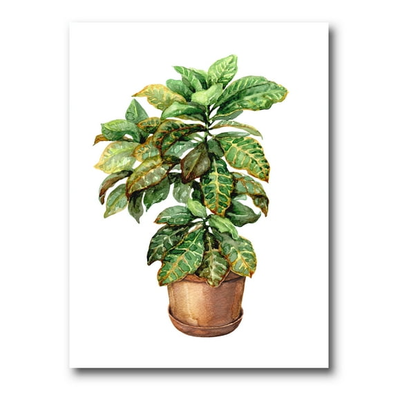 Green Croton In Clay Flowerpot 8 in x 12 in Painting Canvas Art Print, by Designart