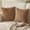 Brown, variant on Decorative Throw Pillow for Sofa Bed Chair, Sculpted Texture Accent Cushion Series for Modern Cozy Home Styling,2-Pack