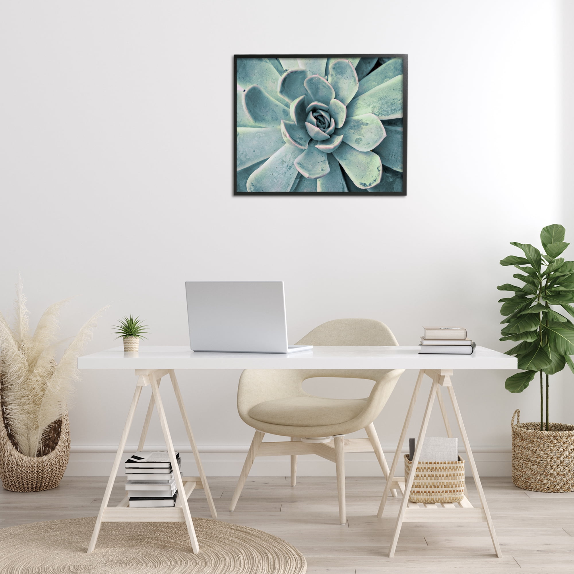 Stupell Industries Green Cactus Succulent Botanical & Floral Photography Black Framed Art Print Wall Art, 30 x 24