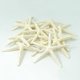 thumbnail image 4 of 12pcs White Finger Starfish 5-10cm Decorative Five-finger Starfish, 4 of 5