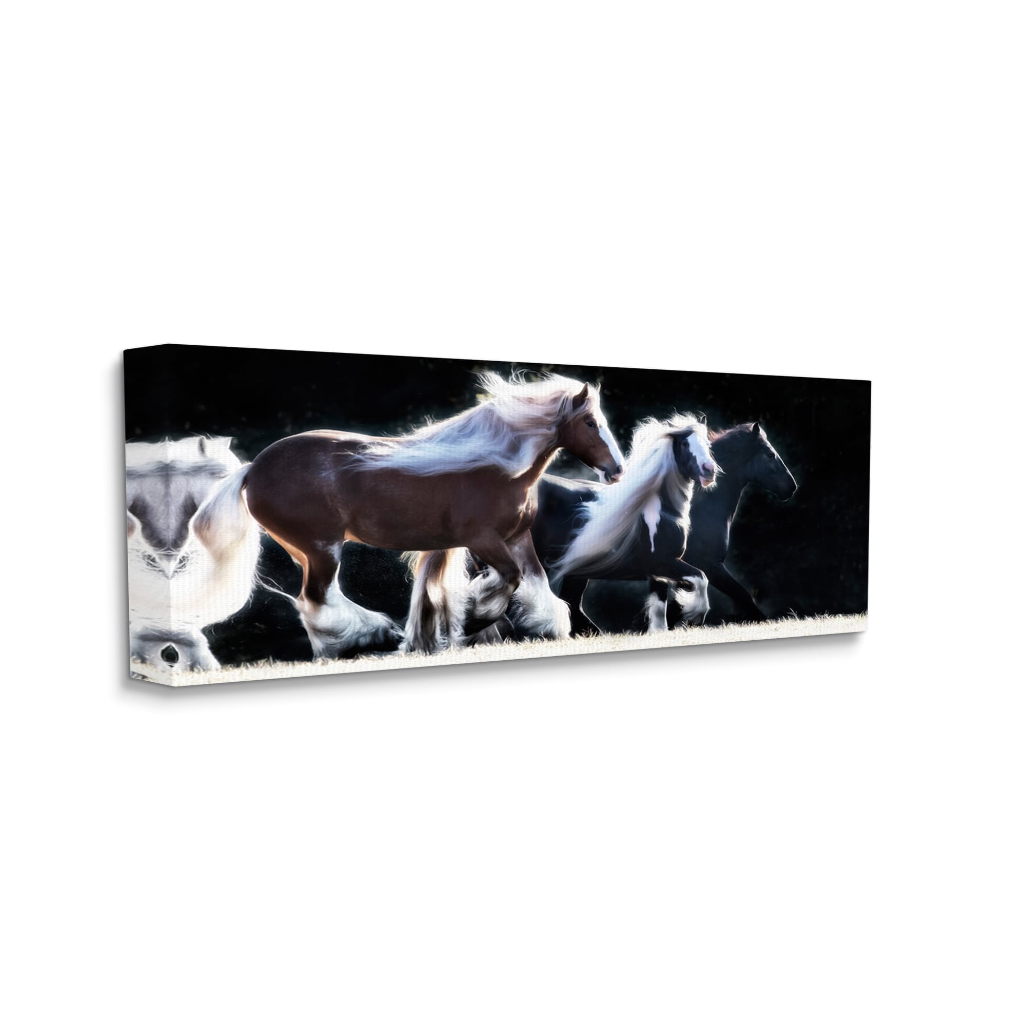 Stupell Industries Colt Horse Stampede Country Field Modern Equestrian Photography, 48 x 20,Design by PHBurchett