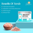 thumbnail image 3 of Skincare Sunday Himalayan Salt Body Scrub - | Invigorate | Exfoliate | Moisturize - relax & uniwnd potion (Pack of 3, Cool Mint), 3 of 5