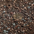 thumbnail image 2 of Succulent and Cactus Soil Potting Mix 2.2 LBS, Bonsai Ready to Use, Fast Draining with Added Nutrients, 2 of 5