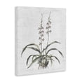 thumbnail image 3 of Stupell Industries Shabby Chic Blooming Herb Bud Canvas Art, 30 x 40, by Lettered and Lined, 3 of 8