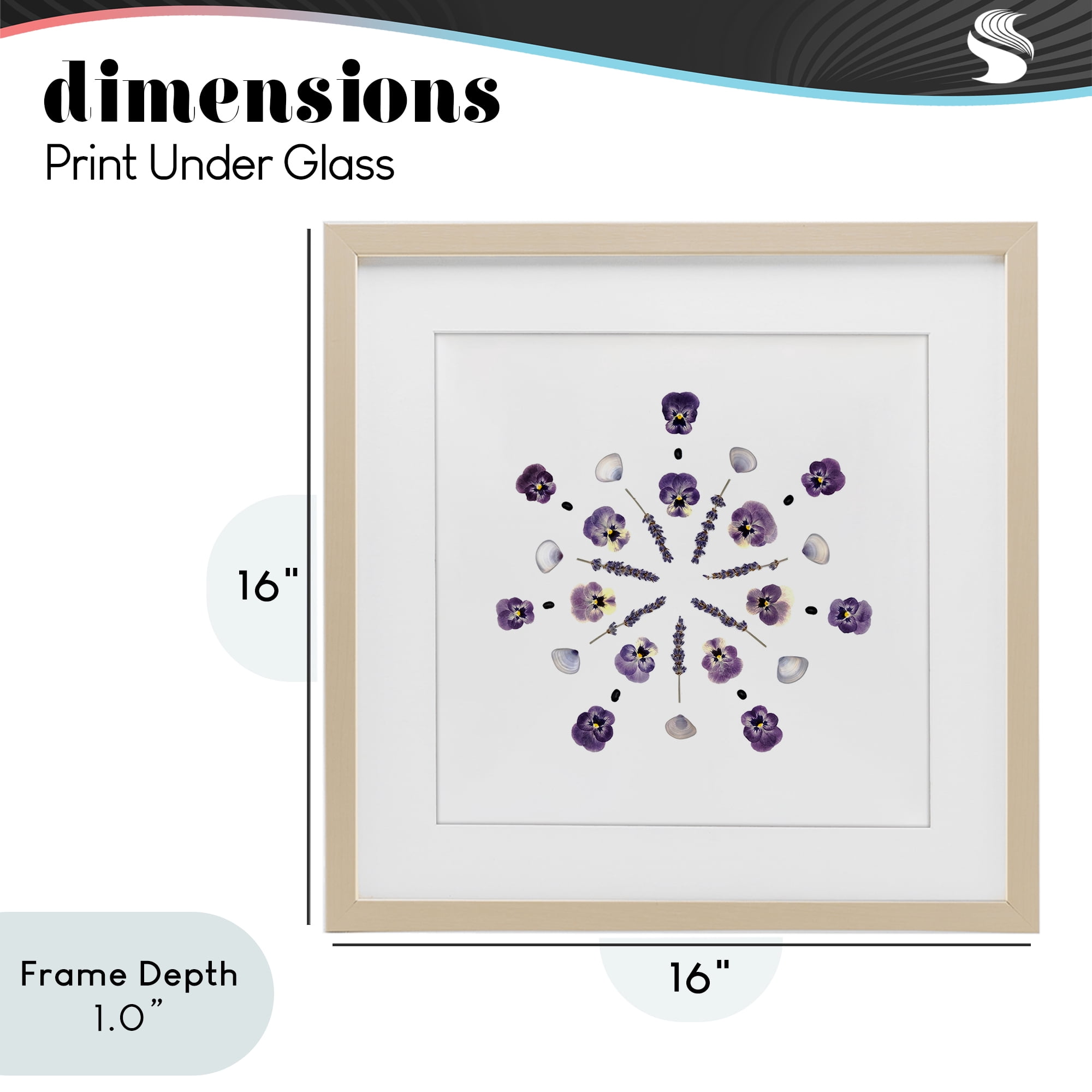 Stupell Industries Pansies & Lavender Symmetry Birch Framed Print Under Glass, design by Beth Adoette
