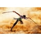 thumbnail image 5 of Figura de acción TAMASHII NATIONS One Piece Roronoa Zoro, 5 of 9