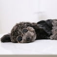 thumbnail image 5 of Visland Small Pet Sunglasses Retro Dog Sunglasses Round Metal Puppy Sunglasses Cosplay Glasses Photo Props Eyewear for Cats and Small Dogs, 5 of 8