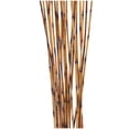 thumbnail image 4 of 41" Tall Stick Bamboo Natural Foliage Sticks Bouquet, by DecMode, 4 of 7
