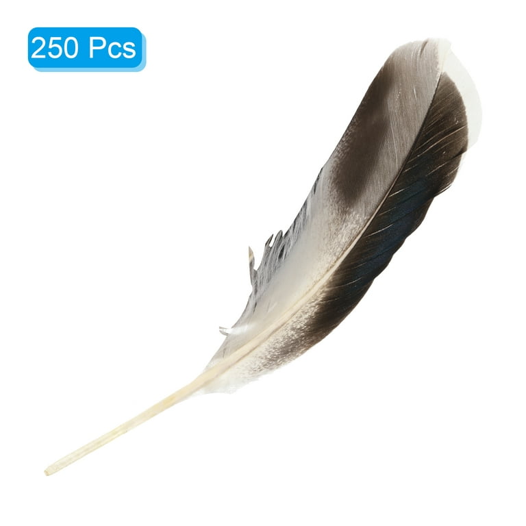 Uxcell 4-6 inch Natural Feathers, 250 Pack Bulk Feathers for Crafts Carnival Handwork Clothing Style 2, Black