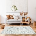 thumbnail image 3 of shiyou-Vintage Persian Rug 4x6 Print Distressed Carpet Grey Multi Thin Rug Chenille Mat Lightweight for Kitchen Living Room Bedroom Dining Room, 3 of 4