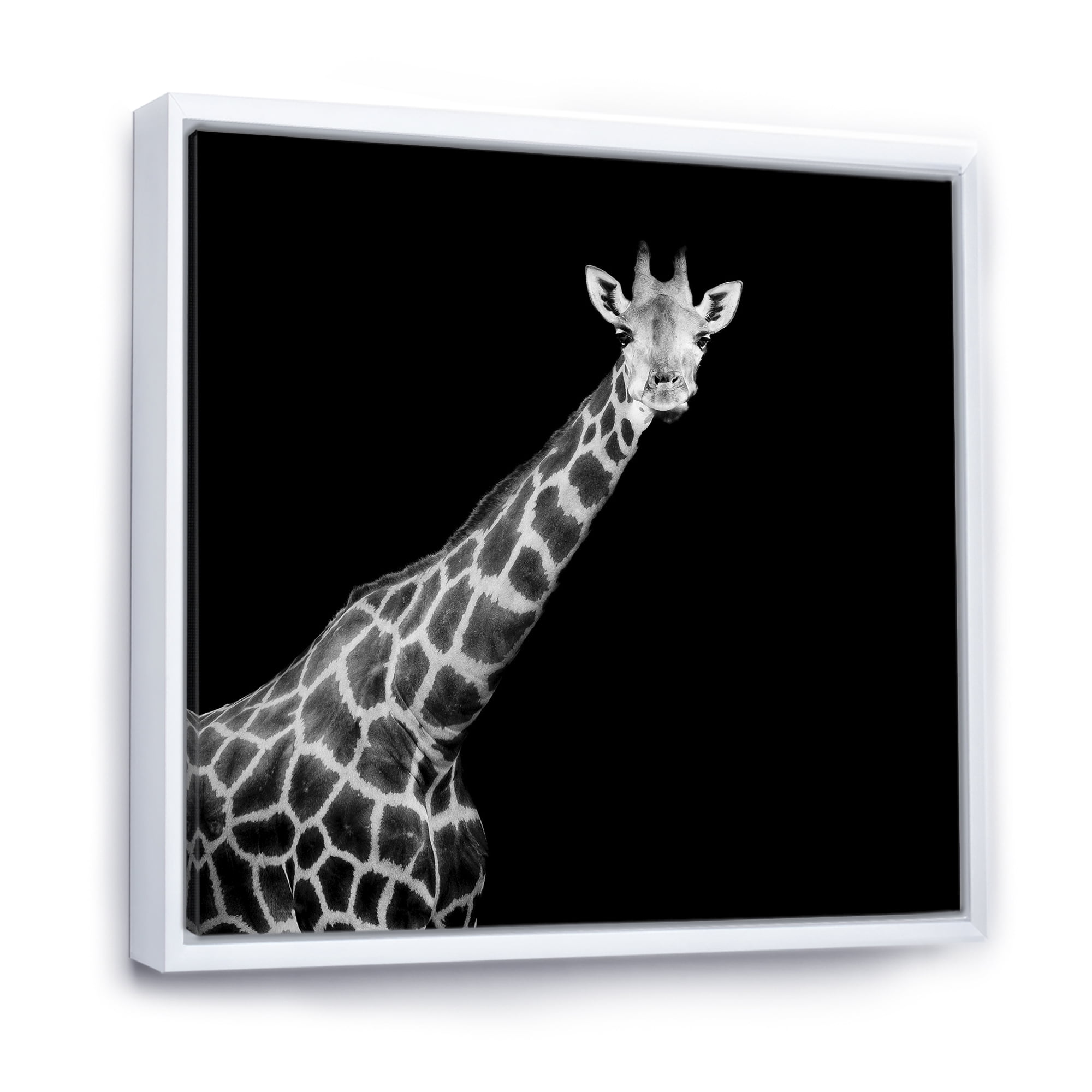 Designart 'Close Up Portrait Of A Giraffe On Black I' Farmhouse Framed Canvas Wall Art Print