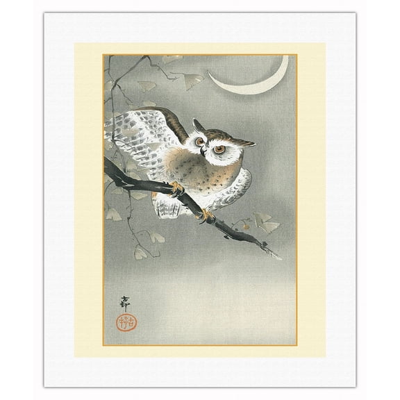 Long-Eared Owl in Ginkgo - Vintage Japanese Woodblock Print by Ohara Koson c.1900s - Fine Art Rolled Canvas Print (Unframed) 16in x 20in