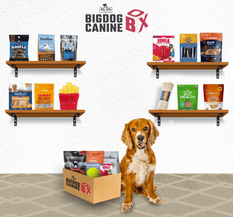BigDog Canine Box, Treats and Toy Box, Large Dogs