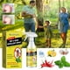 thumbnail image 2 of 1-3pcs Bee & Wasp Repellent Spray, Wasp Spray with Natural Plant-Based Peppermint Oils Bee Spray, 2 of 5