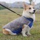 thumbnail image 4 of Nueva ropa para perros para otoño e invierno, ropa reflectante cálida para perros, chaleco acolchado, ropa para mascotas acolchada para perros 44*28*32cm, 4 of 5