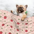 thumbnail image 3 of Pofeuu Strawberry Print Puppy Blanket,Dog Blankets,Pet Blanket Cozy Cat Blankets for Indoor Cats, Fuzzy Pet Blanket for Kitten Doggy Dog Blankets-Small, 3 of 8
