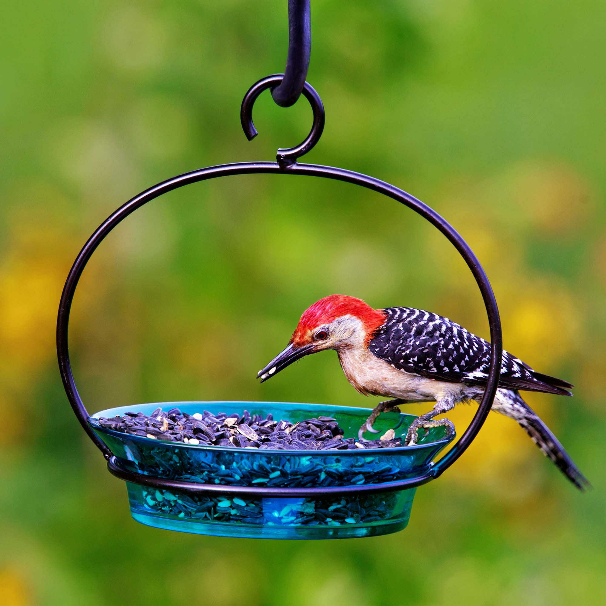 Mosaic Birds Recycled Glass & Metal Cuban Hanging Bird Bath Bowl - Bird Feeders for Outdoors - Lawn Décor - Aqua Blue