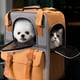 thumbnail image 5 of Transportín de viaje para mascotas Colco Bandolera venti para perros naranja, 5 of 8