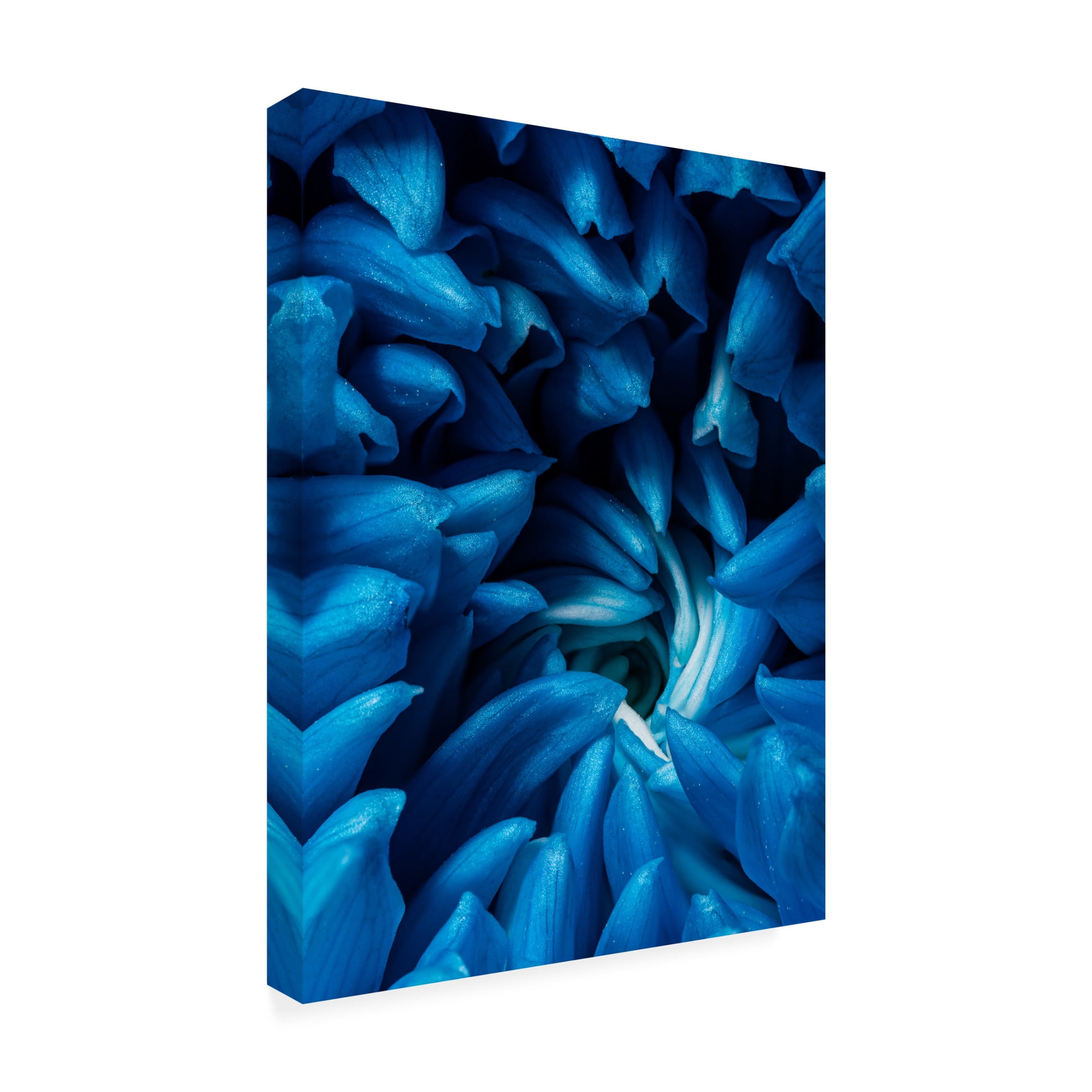 Trademark Fine Art Konstantin Morozov Blue Chrysanthemum Canvas Wall Art