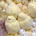thumbnail image 1 of Chicken Squishy Toy, Handmade Taba Squishy Toys, Ultra Soft Chicken Shape Squeeze Toy, Fluffy Chicken Shaped Sensory Toy, Squishy Toys for Relieving S, 1 of 5