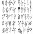 thumbnail image 1 of Etiqueta Engomada Del Tatuaje Brazo Tatuajes Pegatinas 10pcs Planta Hierba Fresca para Hombres Mujeres, 1 of 9