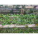 thumbnail image 5 of Bearachild Valla de madera simulada para decoración de jardines y patios. Valla de plantas simuladas, como escaleras. Jardín y Patio, 5 of 6