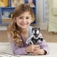 thumbnail image 4 of Figura de acción Hasbro Spidey and his Amazing Friends Black Panther, 23 cm, Marvel Preschool Super Hero Toys para niños de más de 3 años, 4 of 7