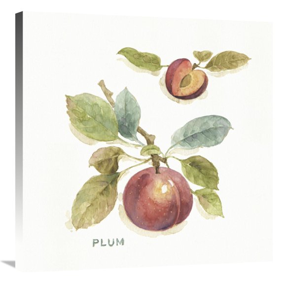 Global Gallery's 'Orchard Bloom IV' By Lisa Audit Stretched Canvas Wall Art