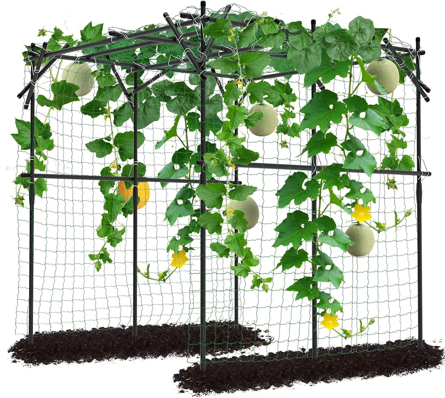 SLSY 79'' L x 79'' W x 79'' H Large Tall Grape Vine Support Arch Arbor Trellis Plastic-Coated Metal Garden Arch Trellis for Climbing Plants Vineyard Patio Lawn Yard Garden Decoration