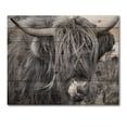 thumbnail image 3 of Designart 'Close Up Of Scottish Cow On Moorland II' Farmhouse Print on Natural Pine Wood, 3 of 5