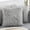 Grey, variant on Pack of 2 Faux Fur Solid Throw Decorative Pillow Cover Cushion Covers Luxury Soft Decorative Pillowcase Fuzzy Pillow Covers for Bed/Couch