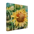 thumbnail image 2 of Annelein Beukenkamp 'Sunflower Centered' Outdoor Canvas 14x14, 2 of 5