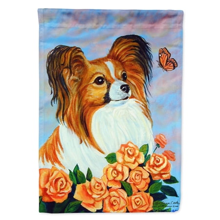 Carolines Treasures 7246-FLAG-PARENT Papillon Flag multicolor