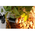 thumbnail image 4 of Turtle Heat Lamp, Infrared Terrarium Heat Lamp, Clamp Lamp with 30cm Gooseneck Lamp Socket for Reptiles and Amphibians 1.8m Eurocode, 4 of 4