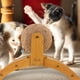 thumbnail image 2 of Pelota rascadora para gatos, juguete interactivo para interiores, 2 of 8