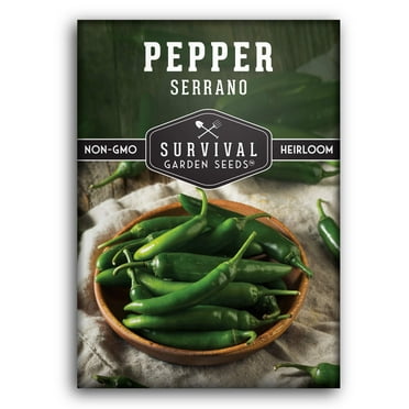 1 Pack Serrano Pepper Seeds - Non-GMO Heirloom Full Sun Annual Vegetable