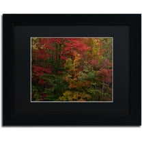 Trademark Fine Art "Why I Love Autumn" Canvas Art by Kurt Shaffer, Black Matte, Black Frame