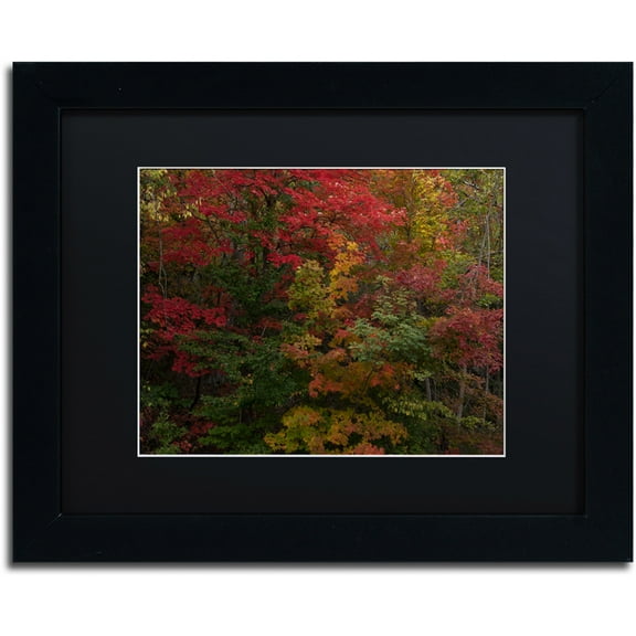 Trademark Fine Art "Why I Love Autumn" Canvas Art by Kurt Shaffer, Black Matte, Black Frame