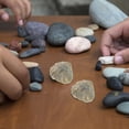 thumbnail image 3 of Miangastore Khaki Fossil 1Set Shell For Archaeological Study Paleontology Style, 3 of 9