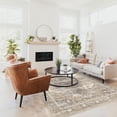 thumbnail image 7 of Living Room 3x5 Area Rugs - Washable Lightweight Area Rug Stain Resistant Carpet Vintage Soft Rugs for Bedroom Kitchen entryway with Non Slip Backing Home Decor Small Mat 3X5 Beige, 7 of 7