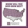 thumbnail image 4 of Pennington Rebels Shady Lawn Grass Seeds Mix, for Moderate to Heavy Shade, 7 lb., 4 of 12