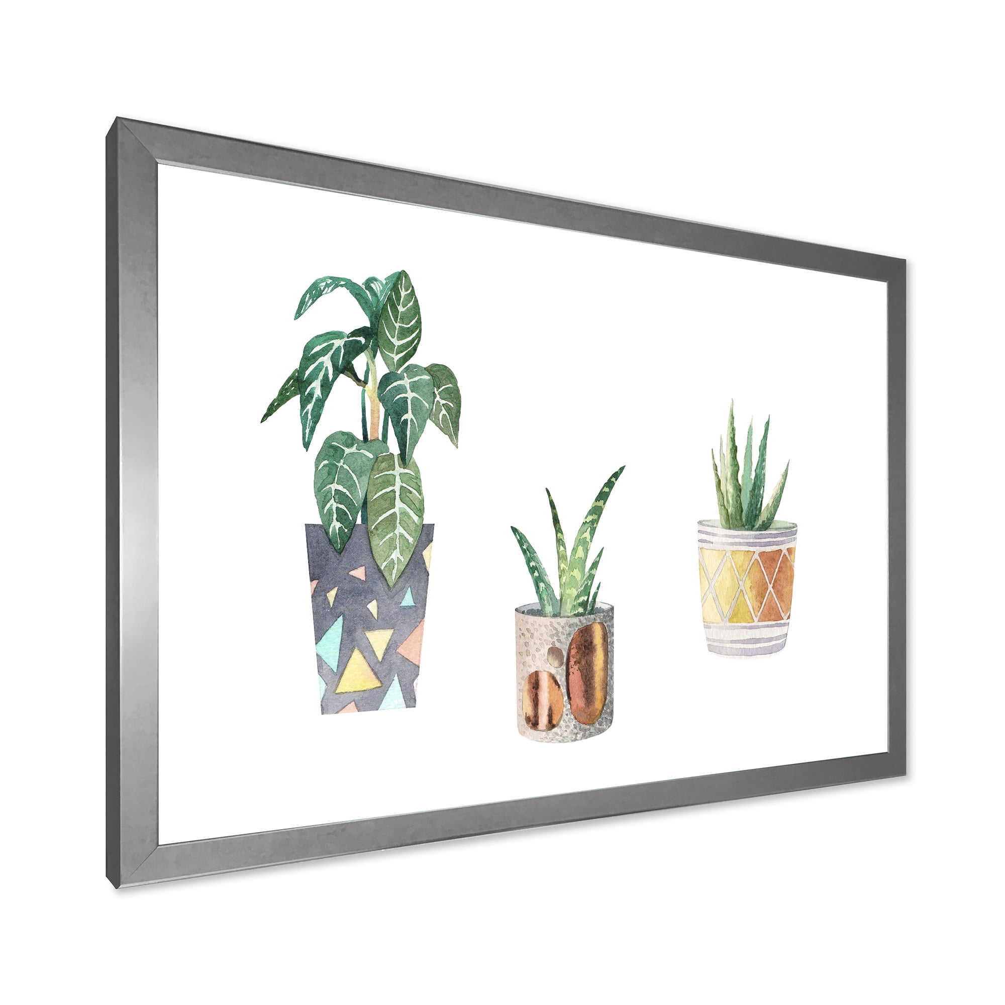 Designart 'Three Potted Houseplants On White' Traditional Framed Art Print