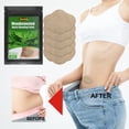 thumbnail image 2 of Seitruly EELHOE 5 unids/bolsa ingrediente Natural vientre quemador de grasa parche Abdomen pérdida de peso parches adelgazantes hoja adhesiva Protección de la piel, 2 of 6