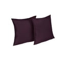 thumbnail image 1 of Lotus Home Stayclean Bacteria Reducing 2-Pack Decorative Pillow Set with Water and Stain Resistance, 1 of 2