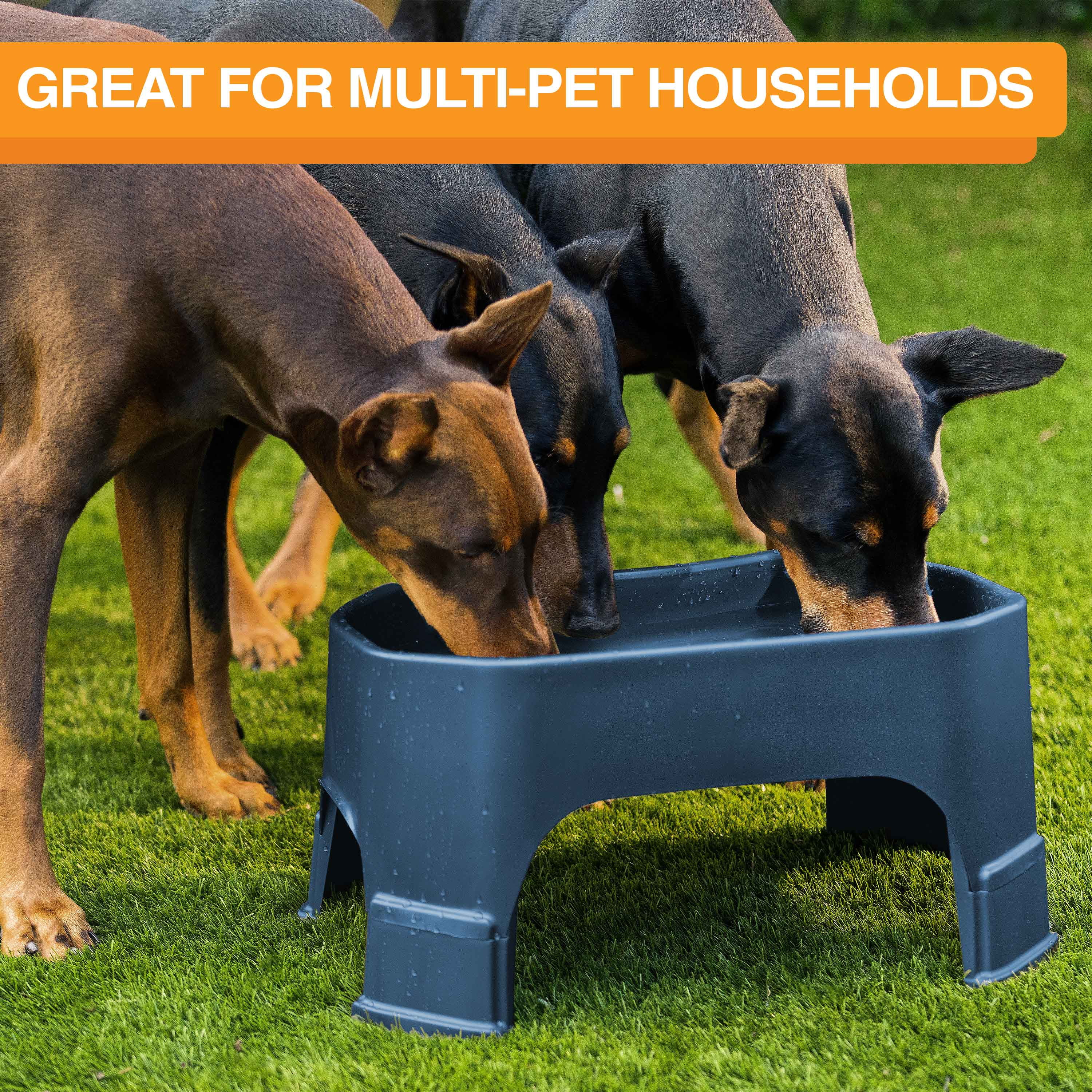 Neater Pets Big Bowl with Leg Extensions for Dogs - Raised for Feeding Comfort - Extra Large Plastic Trough Style Food or Water Bowl for Use Indoors or Outdoors, Dark Blue, 1.25 Gallon (160 Oz.)