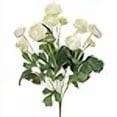 thumbnail image 3 of FBR995-CR 13 in. Cream Mini Ranunculus Bush X5- Case of 12, 3 of 3