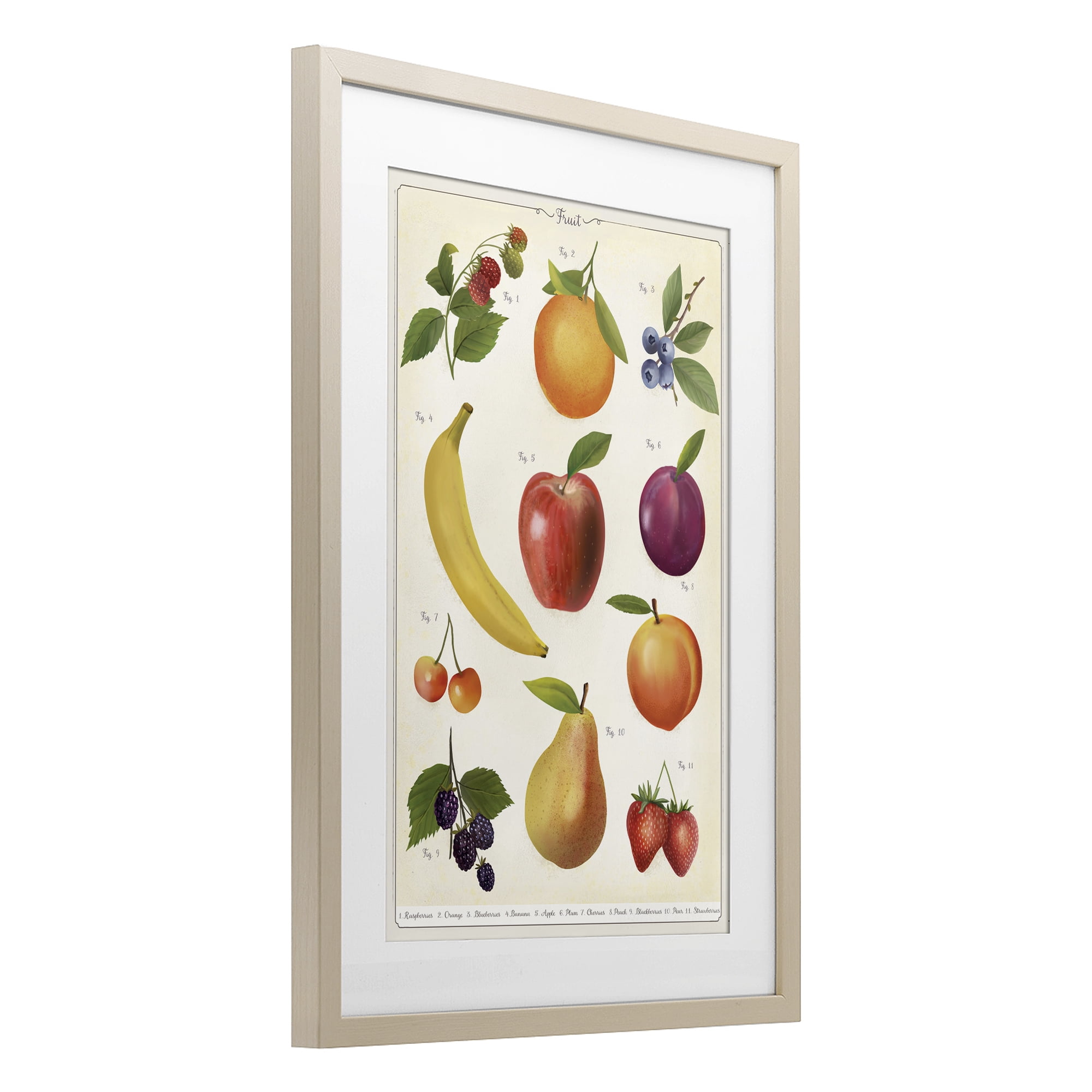 Stupell Industries Fruit Collection Studies Birch Framed Print Under Glass, design by Diane Neukirch